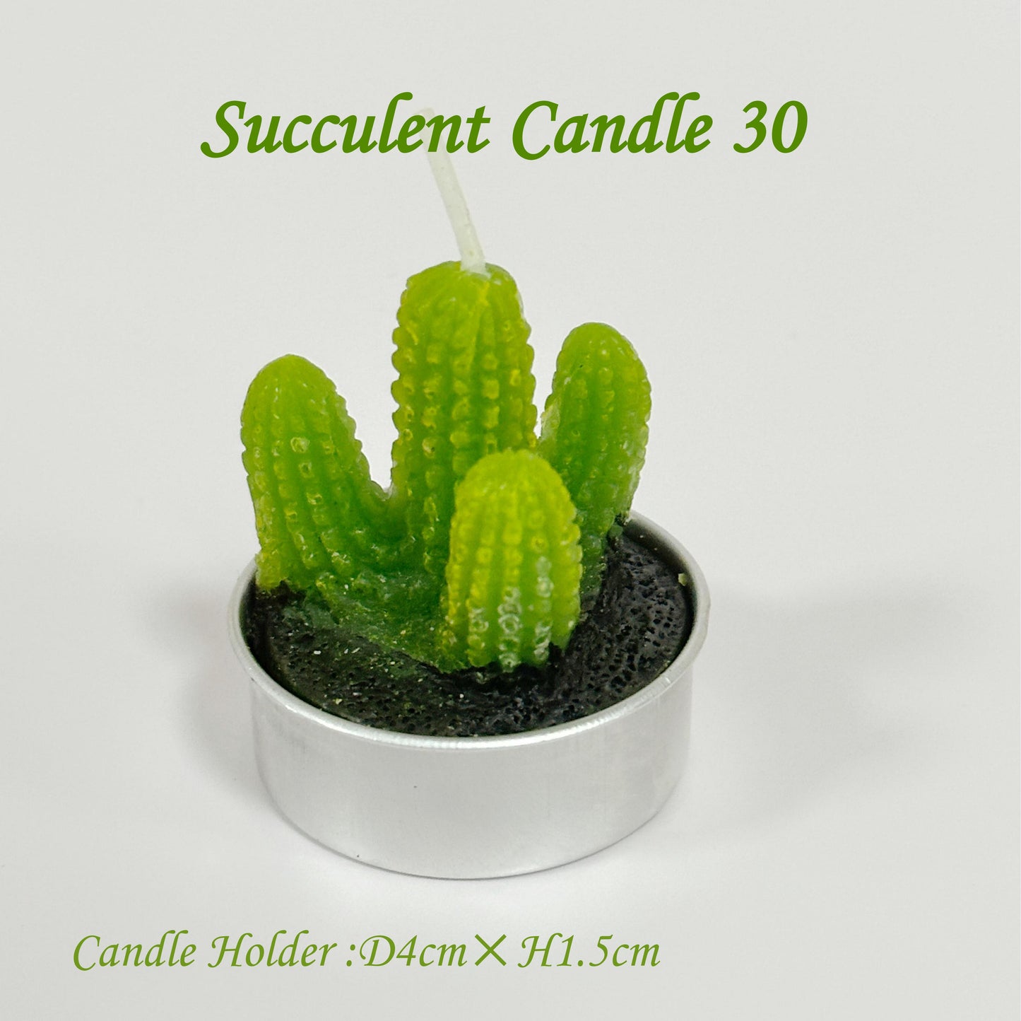 Juicy Cactus Candle, Exquisite Smokeless Scented Small Candle, Suitable for Home Decoration, Spa, Wedding, Valentine's Day, Birthday Gift, Anniversary Celebration